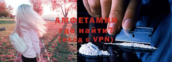 ПСИЛОЦИБИНОВЫЕ ГРИБЫ Горно-Алтайск