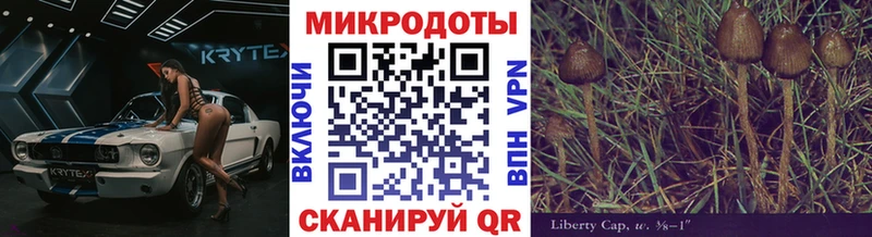 даркнет сайт  Павлово  мега ссылка  Псилоцибиновые грибы ЛСД 